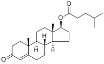CAS 15262-86-9 Steroid Powder Testosterone Isocaproate For Muscle Gain